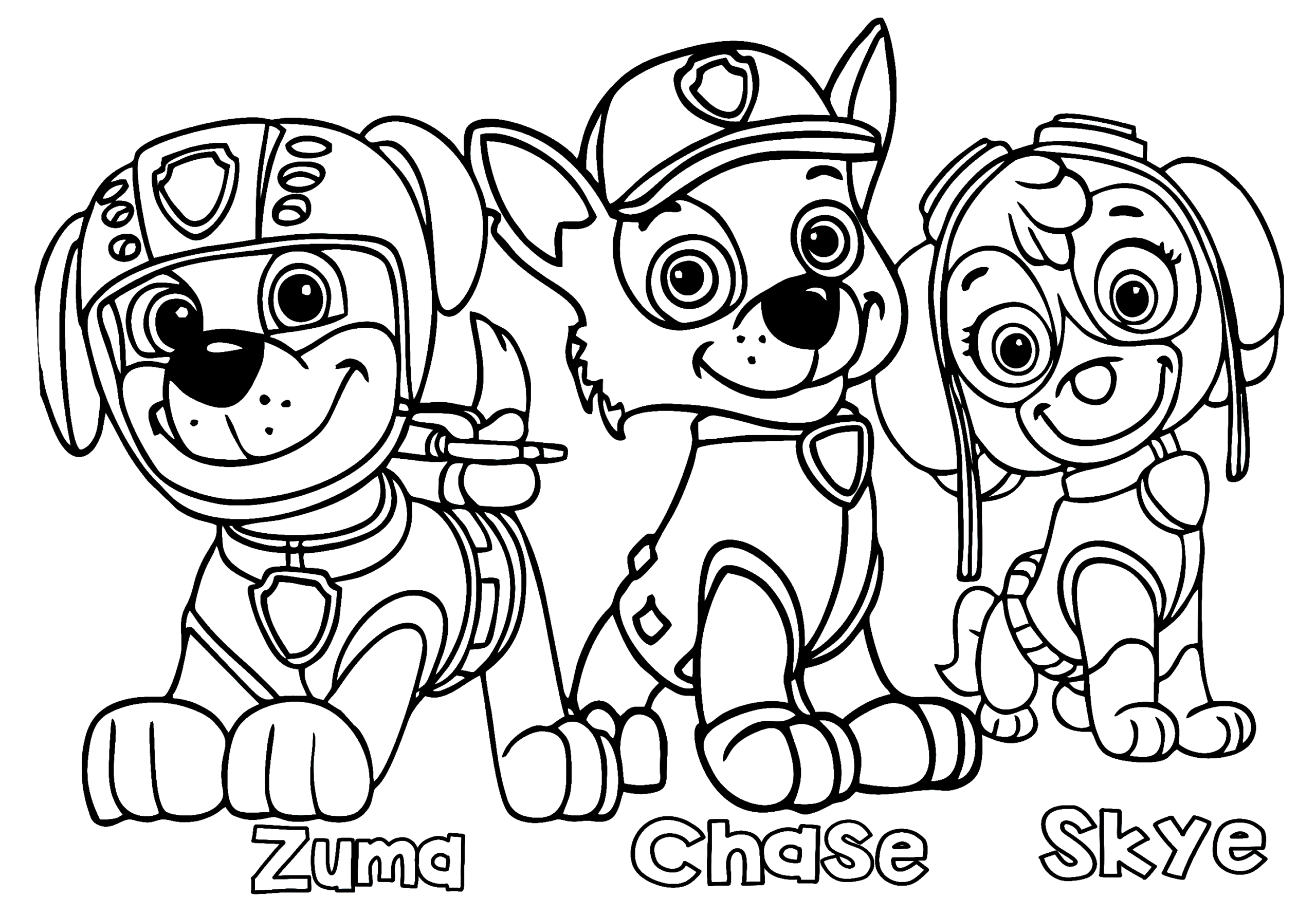 Paw Patrol Puppies Zuma Chase Skye Coloring Page