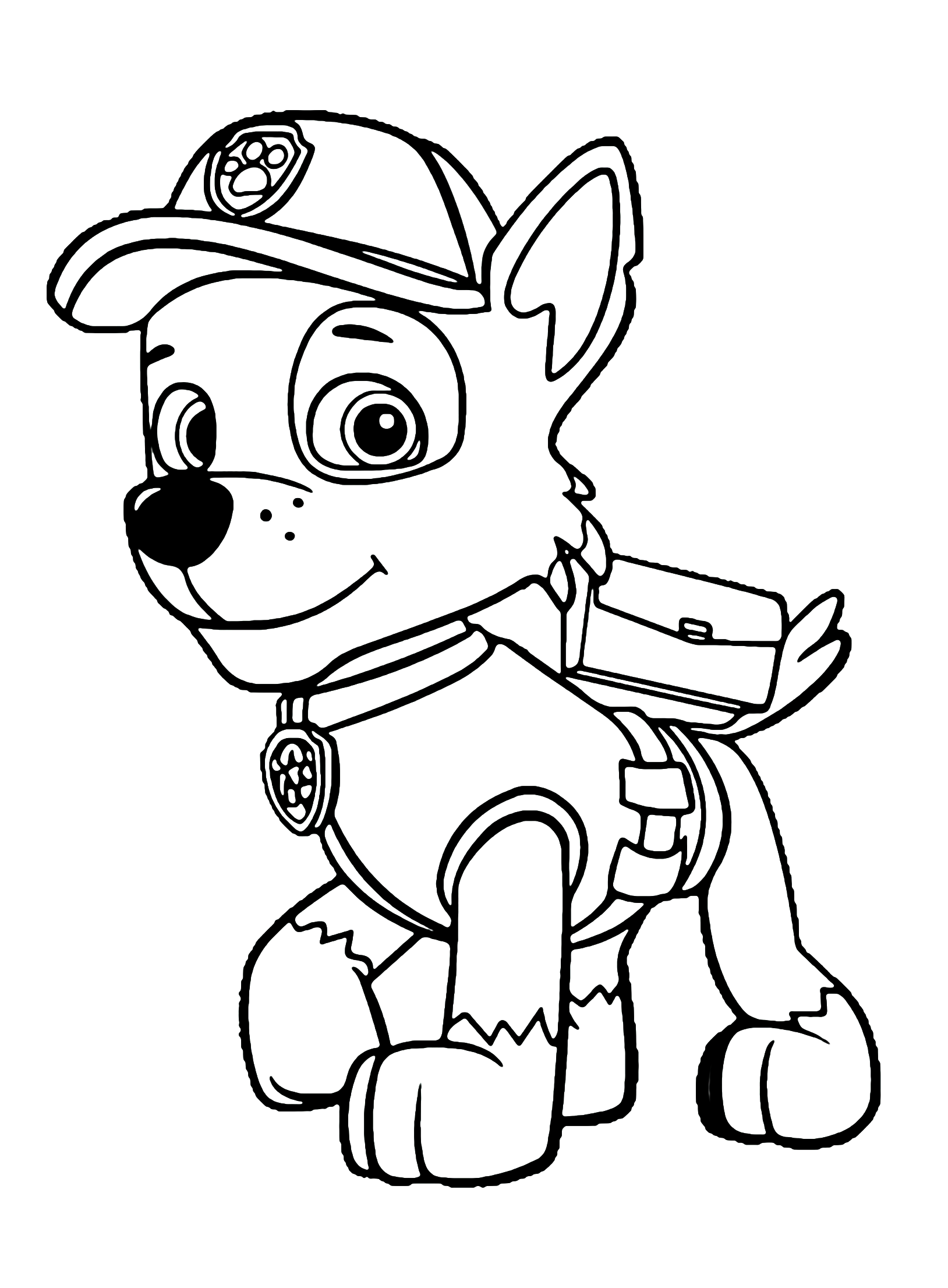patrol paw coloring printable zuma puppy puppies chase